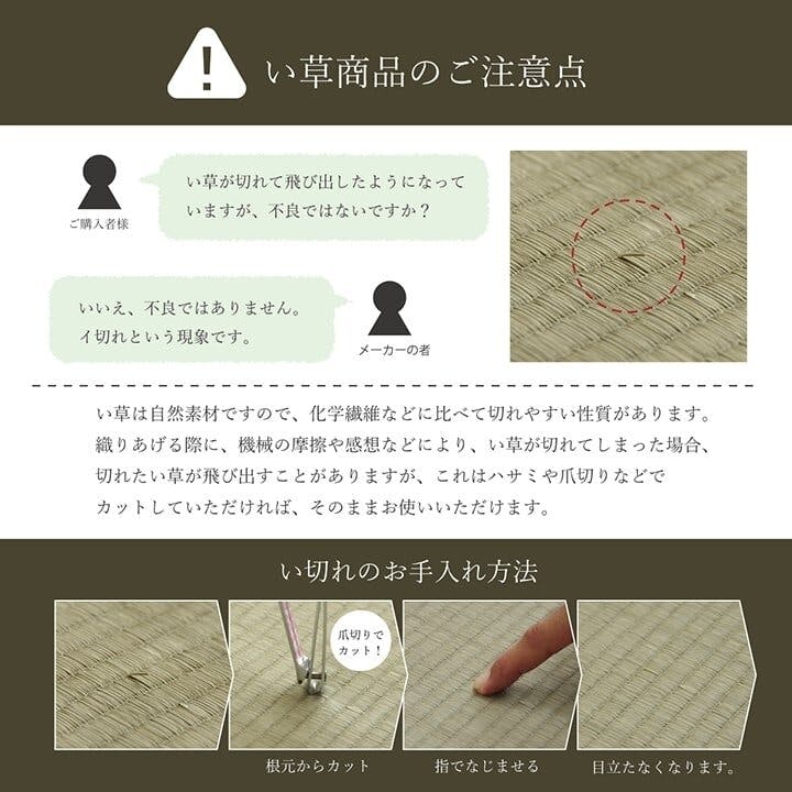 国産い草花ござ ラグ カーペット ラウム 江戸間6畳 GY 261X352【別送品