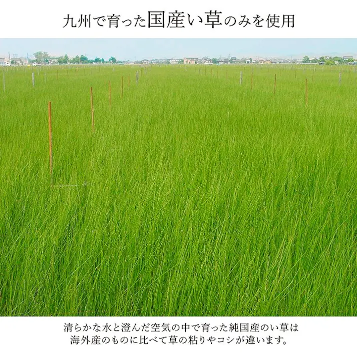 国産い草花ござ ラグ カーペット ランクス 江戸間2畳 NV 174X174 モダン リビング 夏用涼しい【別送品】