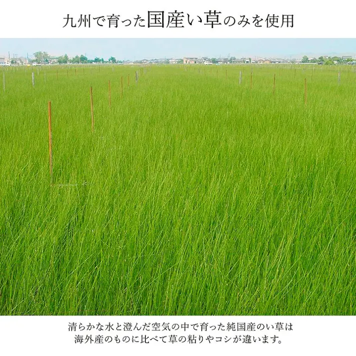 国産い草花ござ ラグ カーペット 京刺子 江戸間6畳 BL 261X352【別送品】