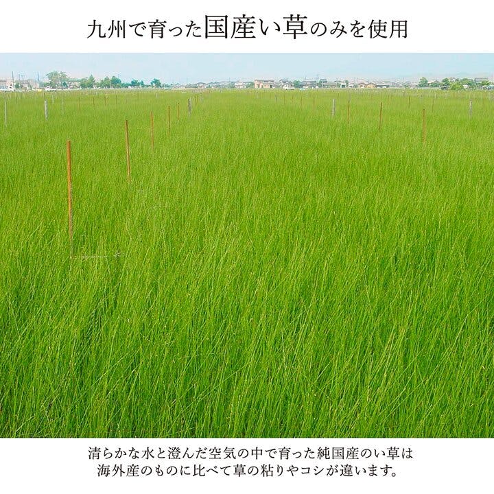 IKEHIKO 国産い草花ござ ラグ カーペット 松川 江戸間6畳 GN