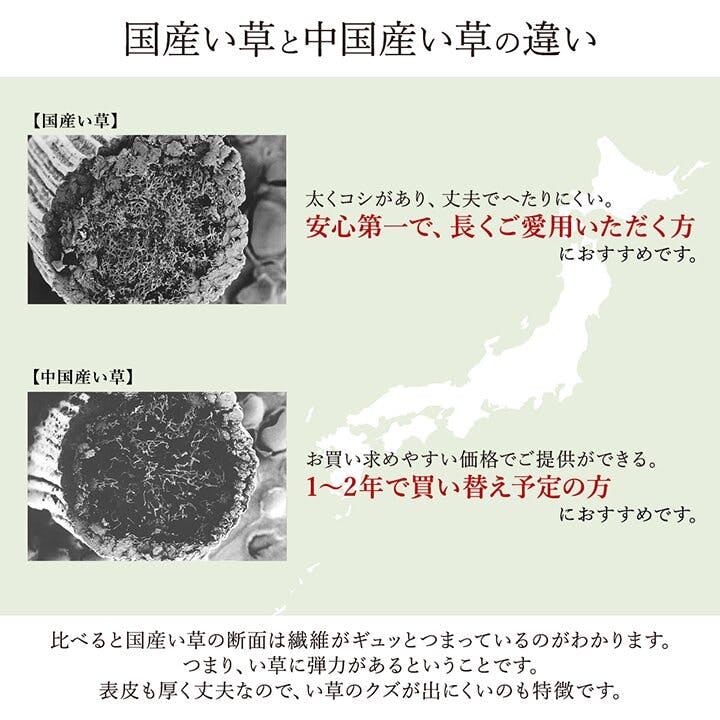 IKEHIKO 国産い草花ござ ラグ カーペット 松川 本間2畳 BE 191X191