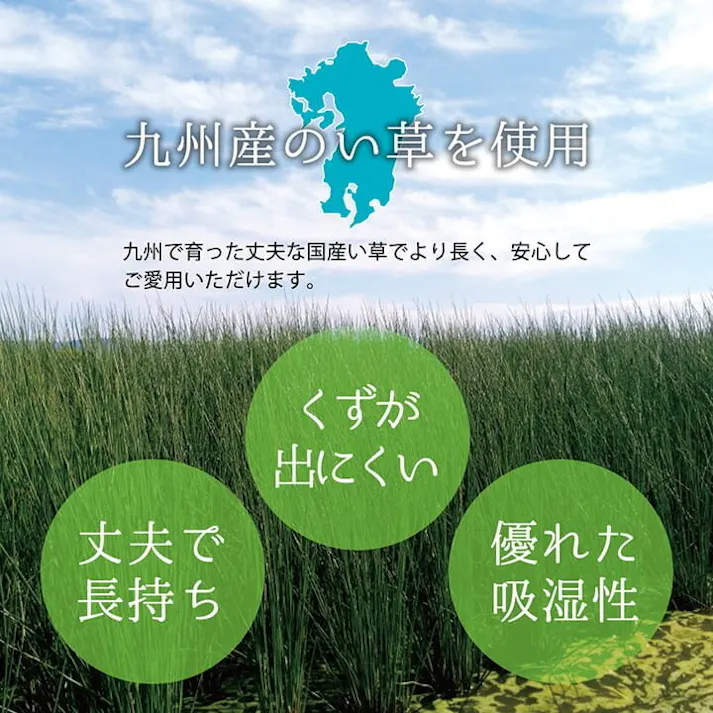 国産い草花ござ ラグ カーペット 西条 江戸間6畳 BE 261X352【別送品】