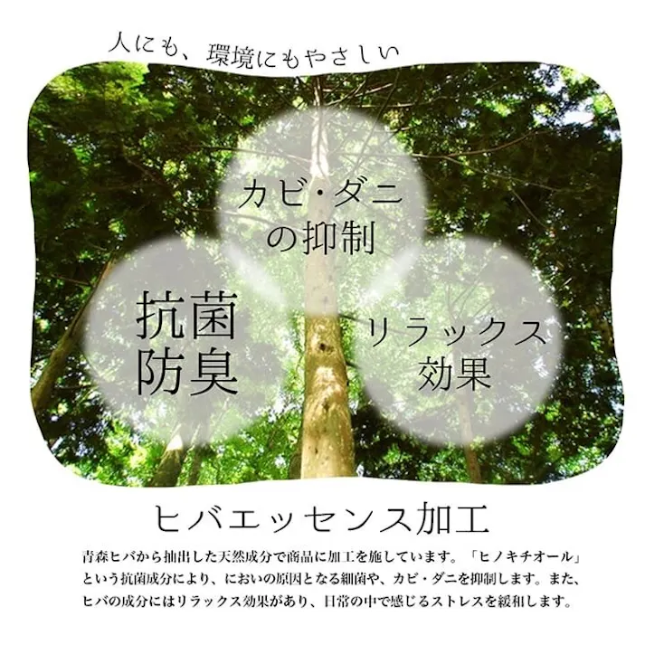 国産い草花ござ ラグ カーペット 西条 江戸間8畳 BE 348X352【別送品】