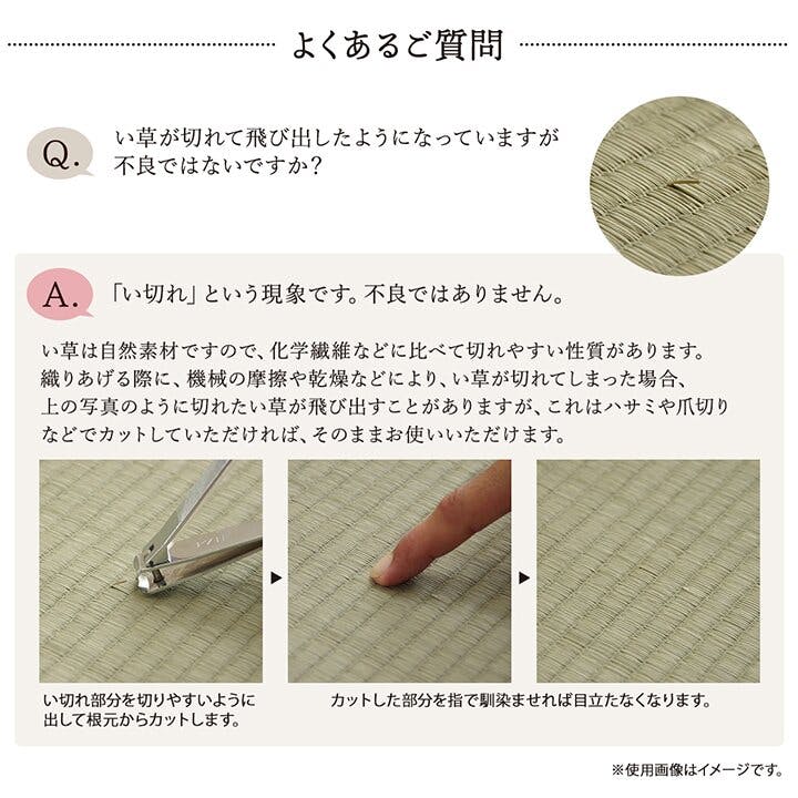 国産い草花ござ ラグ カーペット 大自然 江戸間4.5畳 ソウケ 261X261