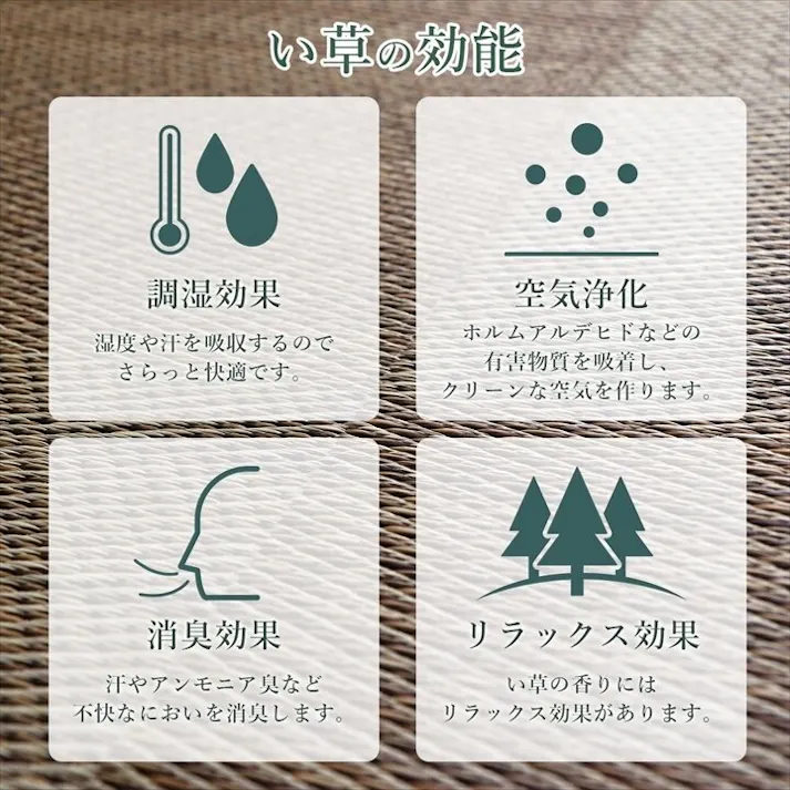 国産い草花ござ 裏張り ラグ カーペット DXノア 江戸間6畳 BK 261X352 市松柄 モダン 和風ナチュラル【別送品】