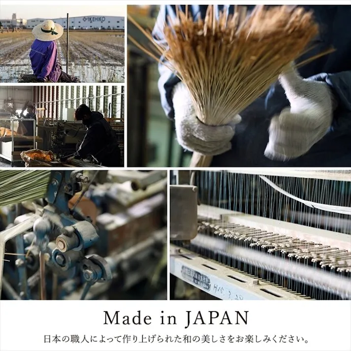 国産い草花ござ 裏張り ラグ カーペット DXノア 江戸間6畳 BK 261X352 市松柄 モダン 和風ナチュラル【別送品】