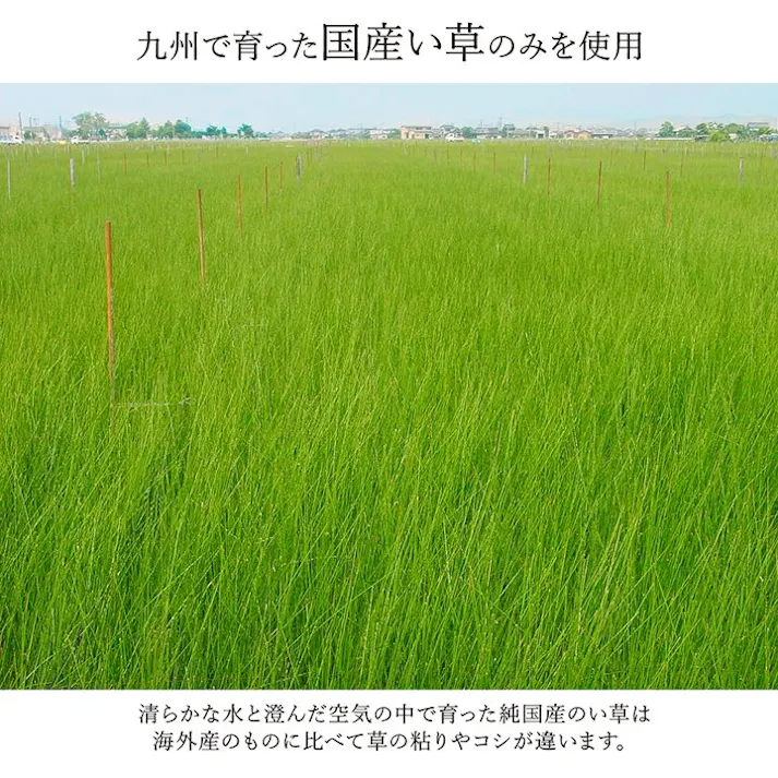国産い草花ござ 裏張り ラグ カーペット DXランクス 江戸間6畳 WI 261X352 モダン リビング 夏用涼しい【別送品】