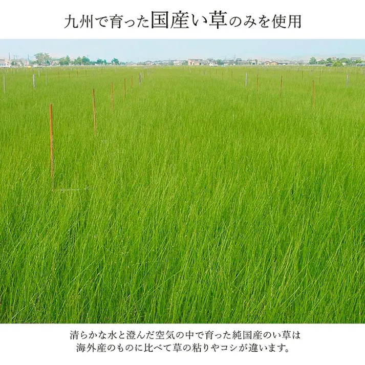 国産い草花ござ 裏張り ラグ カーペット DX京刺子 江戸間4.5畳 BE 261X261【別送品】