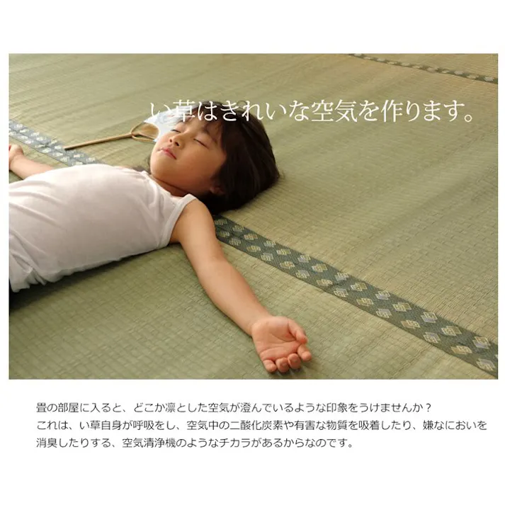 国産い草上敷 カーペット 松 江戸間6畳 261X352【別送品】