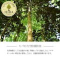 IKEHIKO 国産い草上敷 カーペット 松 団地間2畳  170X170 4956642846994【別送品】