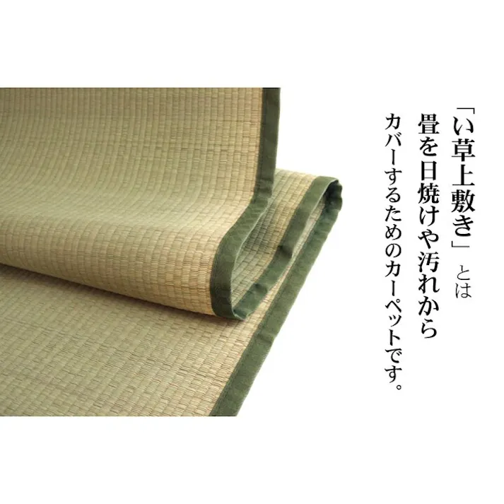 国産い草上敷 カーペット 草津 江戸間6畳 261X352 汚れ防止 ペット リバーシブル【別送品】