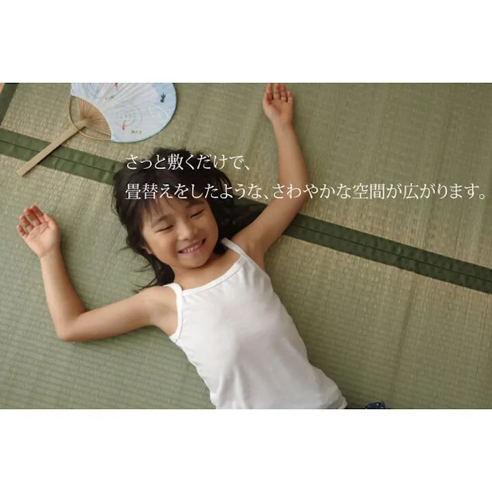 国産い草上敷 カーペット 草津 江戸間6畳 261X352 汚れ防止 ペット リバーシブル【別送品】