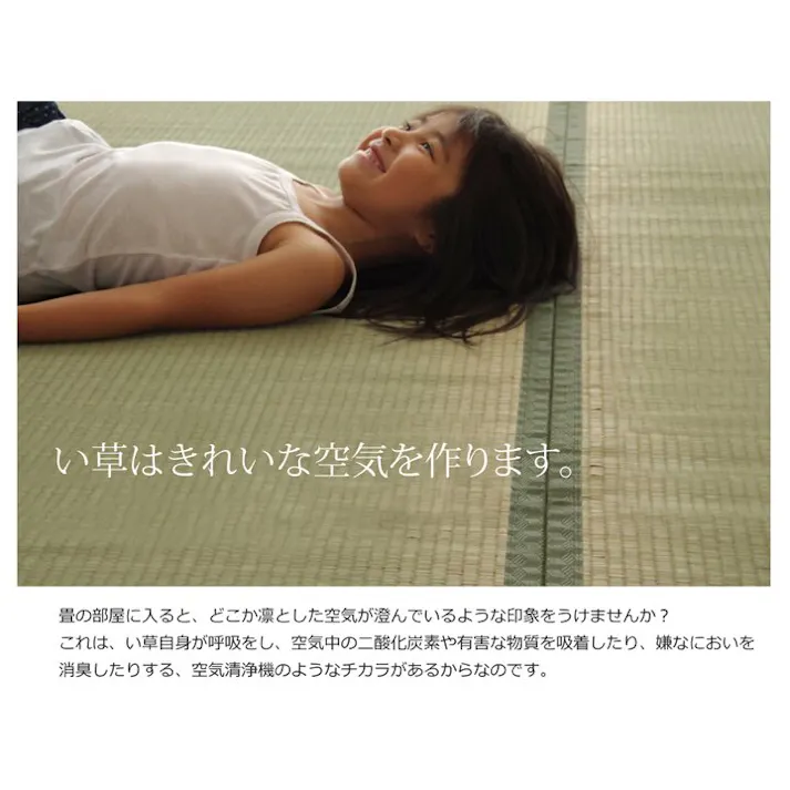 国産い草上敷 カーペット 草津 江戸間8畳 352X352 汚れ防止 ペット リバーシブル【別送品】