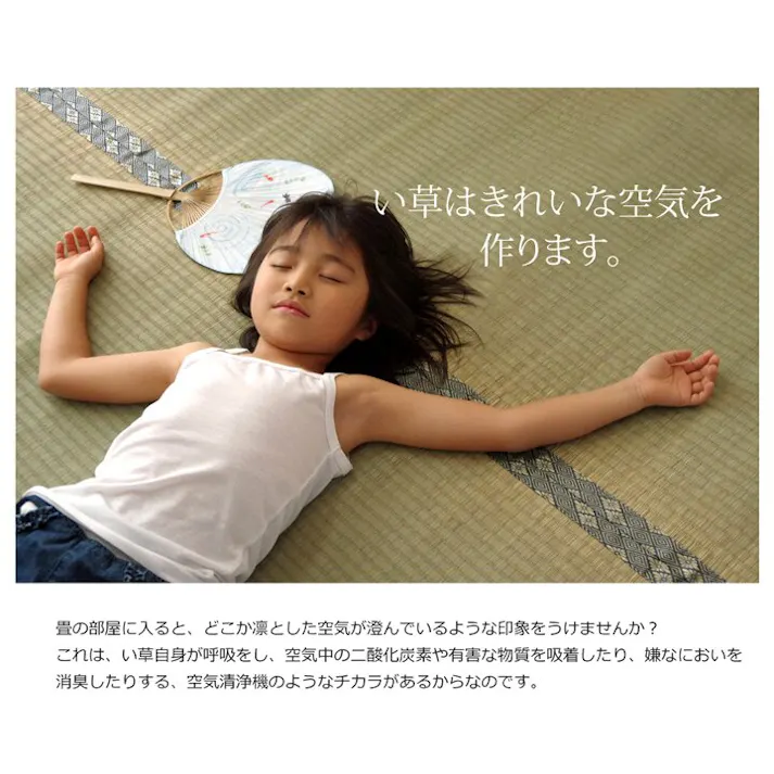 国産い草上敷 カーペット 湯沢 団地間4.5畳 255X255【別送品】