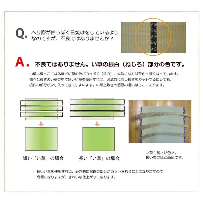 国産い草上敷 カーペット 湯沢 本間4.5畳 286X286【別送品】