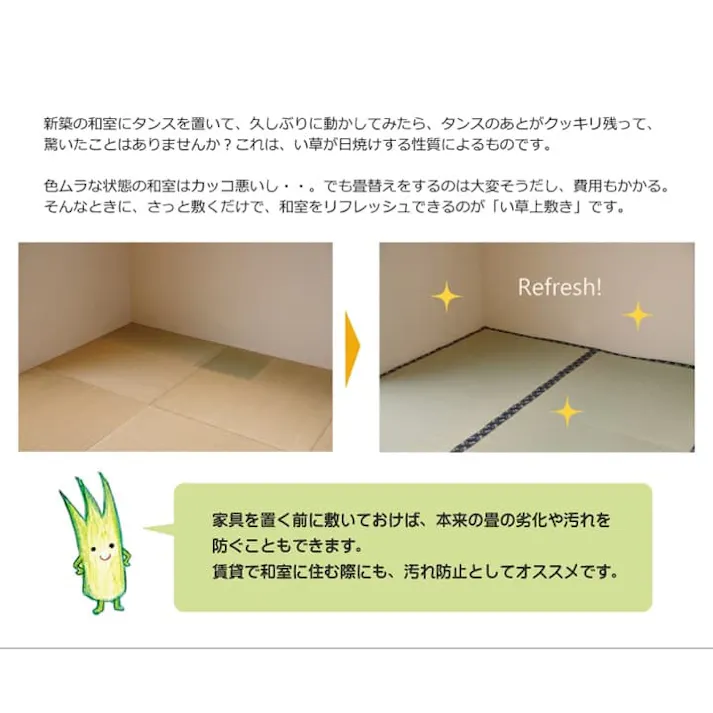 国産い草上敷 カーペット 梅花 江戸間4.5畳 261X261【別送品】