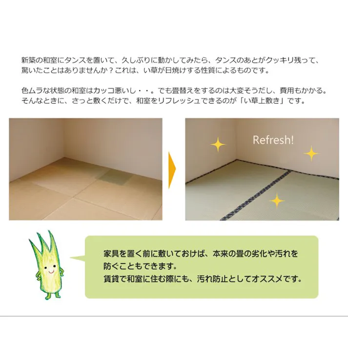 国産い草上敷 カーペット 梅花 本間6畳 286X382【別送品】