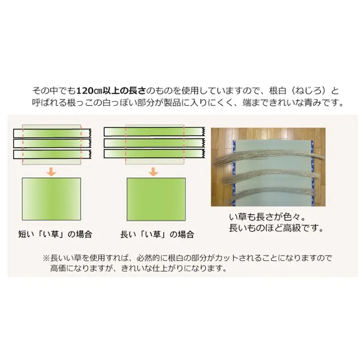 国産い草上敷 カーペット 梅花 六一3畳 185X277【別送品】