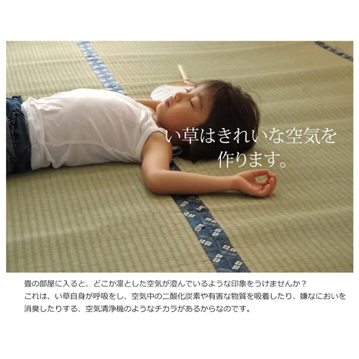 国産い草上敷 カーペット 梅花 六一3畳 185X277【別送品】