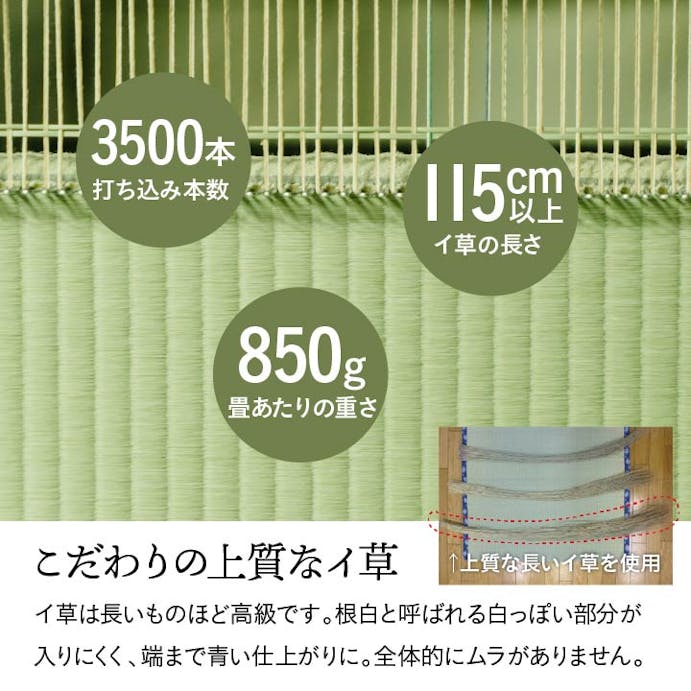 IKEHIKO 国産い草上敷 カーペット 白浜  江戸間6畳  261X352 4550317068157【別送品】