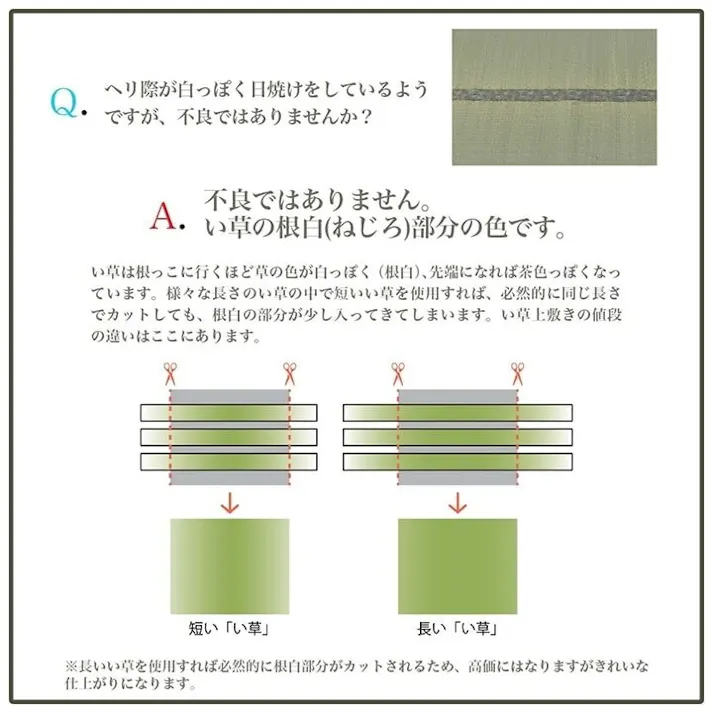 国産い草無地ラグ カーペット プレーン 本間4.5畳 286.5X286 市松柄 ナチュラル オールシーズン【別送品】