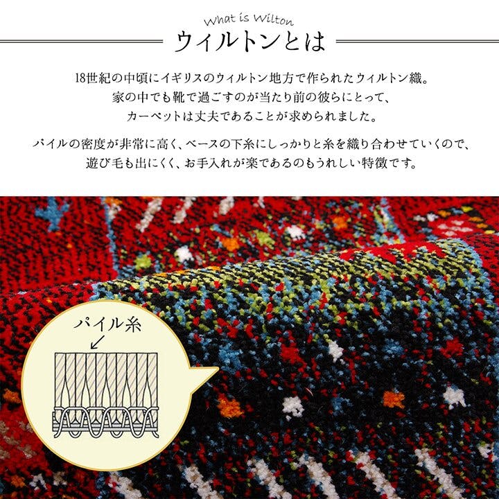イビサ 玄関マット トルコ製 ウィルトン織り 約50×80cm 抗菌防臭 消臭