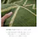 フォルム こたつ布団 正方形 シンプル 幾何柄 掛け敷きセット グリーン 約190×190cm 節電アイテム 省エネ対策 暖房節約 4550317013386【別送品】