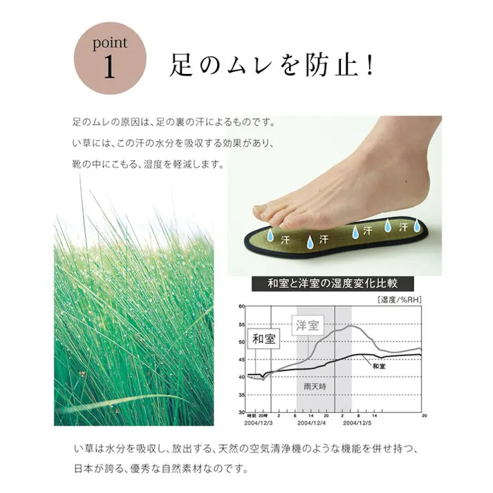 い草インソール インソール ジュニア 消臭 抗菌 ネイビー 約18cm【別送品】