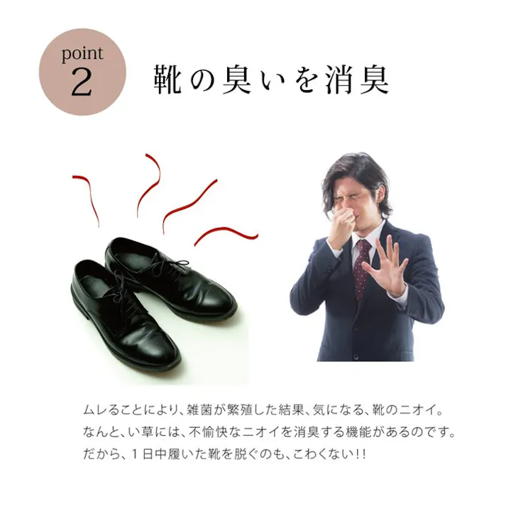 い草インソール インソール メンズ 消臭 抗菌 ネイビー 約30cm【別送品】