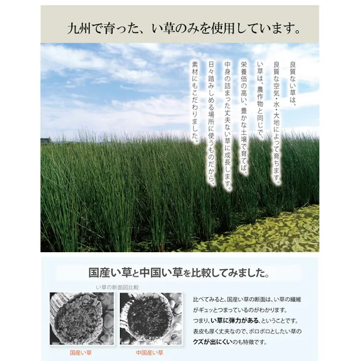 い草インソール インソール メンズ 消臭 抗菌 ネイビー 約32cm【別送品】