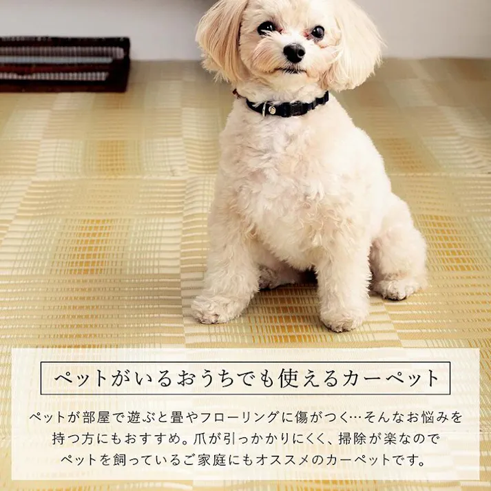 日和 洗える ござ 日本製 国産 カーペット 丈夫 除菌スプレー対応 敷詰 ラグ 敷物 アウトドア レジャー ペット ベージュ 江戸間1畳(約87×174cm) 防音対策 夏用 お手入れ簡単 撥水【別送品】