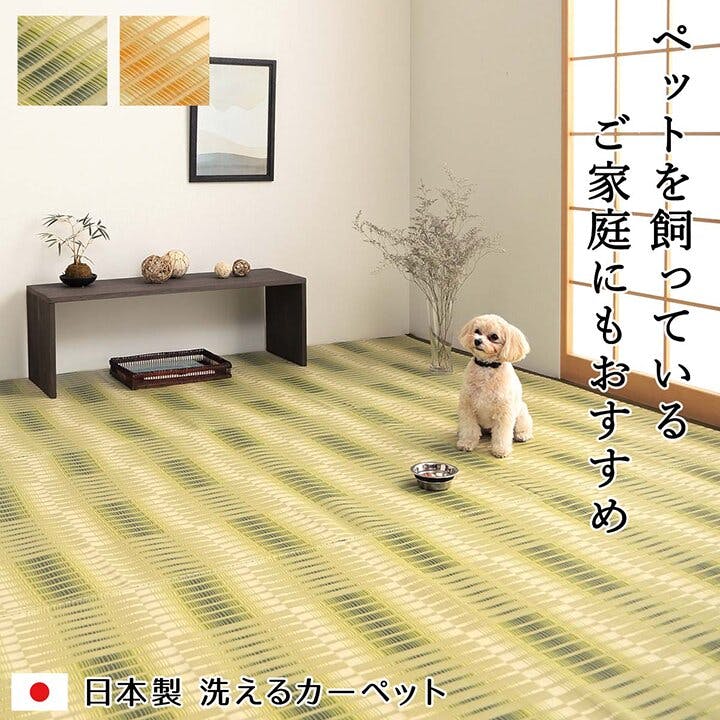 IKEHIKO 日和 洗える ござ 日本製 国産 カーペット 丈夫 除菌