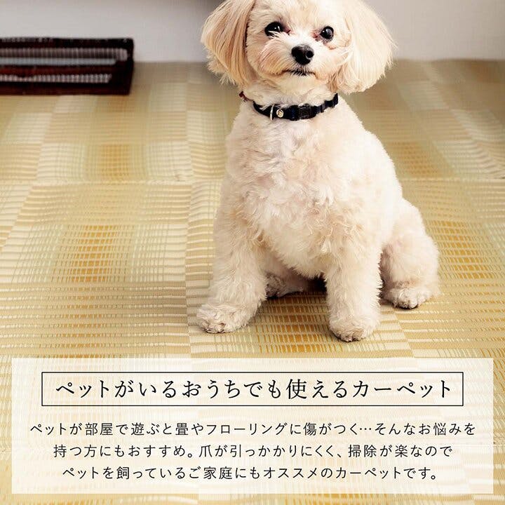 洗える ペット用カーペット ラグ 国産PP 江戸間10畳 畳 日和 ベージュ 洗える ペット用カーペット ラグ 国産PP 江戸間10畳 畳 日和