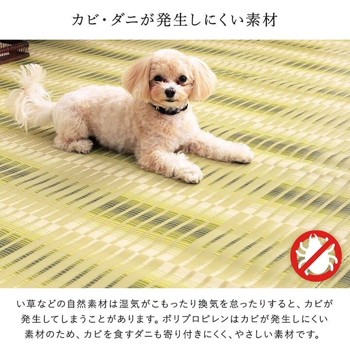 日和 洗える ござ 日本製 国産 カーペット 丈夫 除菌スプレー対応 敷詰