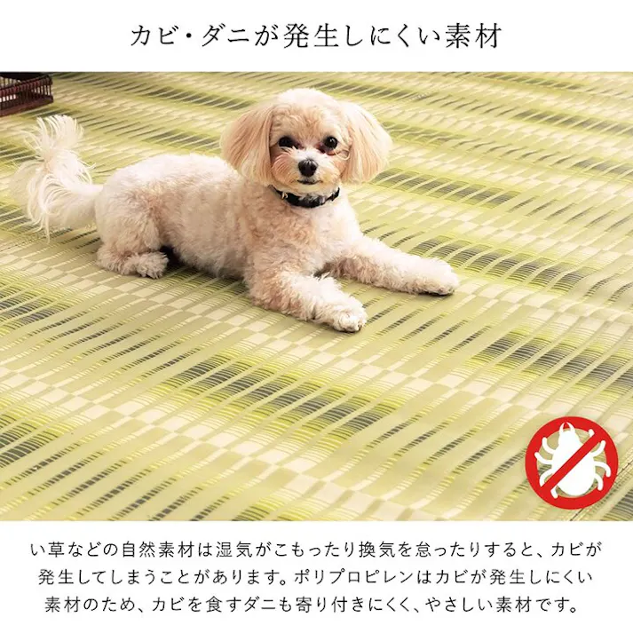 日和 洗える ござ 日本製 国産 カーペット 丈夫 除菌スプレー対応 敷詰 ラグ 敷物 アウトドア レジャー ペット グリーン 江戸間10畳(約435×352cm) 防音対策 夏用 お手入れ簡単 撥水【別送品】