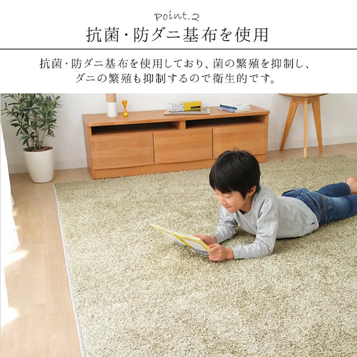 サンティエ 日本 抗菌 消臭 清潔 ラグ カーペット 防炎 アレルキャッチャー 抗アレル物質 ダニ対策 シャギー 無地 オリーブ 約2.4畳 約150×250cm 防音対策【別送品】