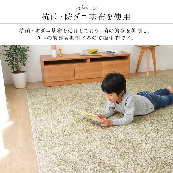 サンティエ 日本 抗菌 消臭 清潔 ラグ カーペット 防炎 アレル