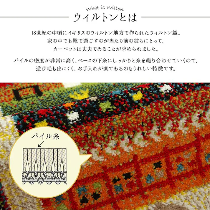 プラテリア 玄関 マット トルコ ウィルトン 織り 約70×120cm 抗菌防臭 消臭 へたりにくい ギャベ ラグマット コンパクト 屋内用【別送品】