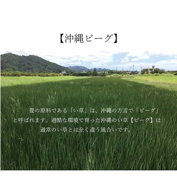 沖縄ビーグ ラグ マット い草 夏用 カーキ 128×200cm 防音対策【別送品】