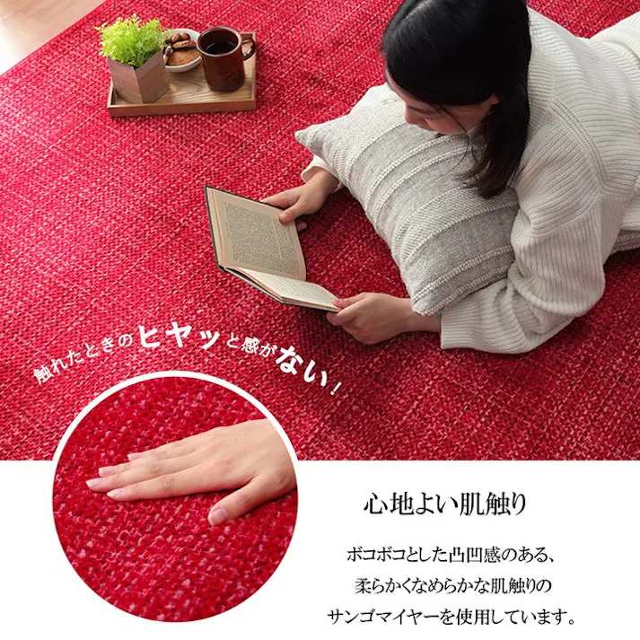 ノート ラグ カーペット マット 珊瑚マイヤ 洗える 滑りにくい グレー 約185×185cm 防音対策【別送品】