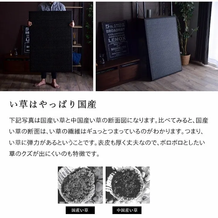 フレア マットレス 三つ折り 日本 国産 畳 カビ防止 置き畳 軽量 梅雨 湿気 対策 新生活 こたつ敷 フロアマット グリーン 約100×210cm【別送品】