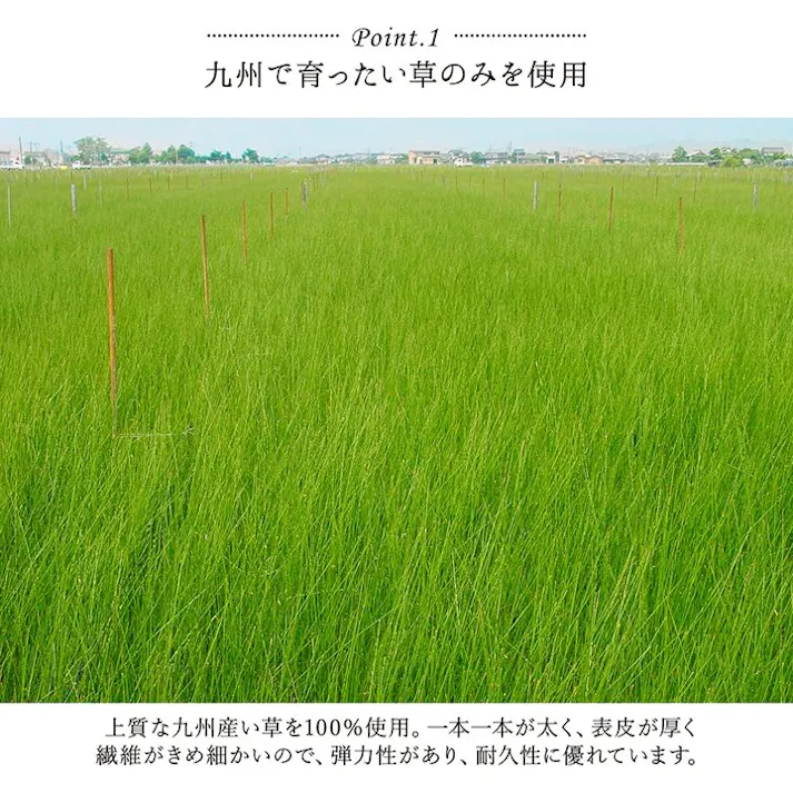 デザート キッチンマット い草 自然素材 国産 純国産 日本製 汚れにくい シミになりにくい ウレタン カジュアル フルーツ レモン 約60×120cm【別送品】