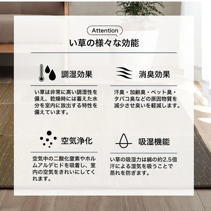 クリア ラグ 小林製薬 持続性抗菌剤 KOBA-GUARD 制菌 抗菌防臭 滑り止め 不織布 夏 い草 グラデーション ブルー 約190×190cm 防音対策【別送品】