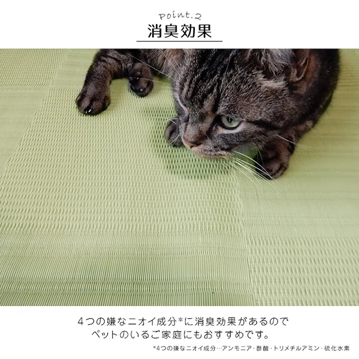 リリーフ ラグ 洗える カーペット 日本製 国産 抗菌 防臭 消臭 アウトドア レジャー 敷物 和室 シンプル グリーン 江戸間4.5畳(約261×261cm) 防音対策【別送品】