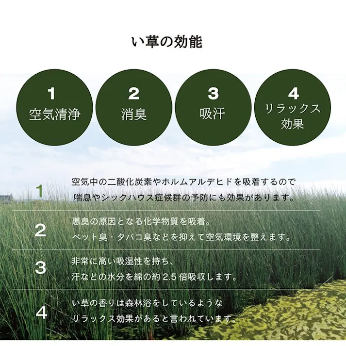 美畳 い草 置き畳 ユニット畳 システム畳 無地調 シンプル モダン シック 空間 消臭 縁無し お手入れ簡単 裏面滑り止め 収納便利 約70×70×1.5cm 単品 グリーン 防音対策【別送品】