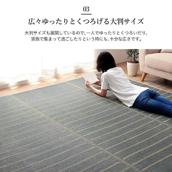 シルフ ラグ 正方形 い草 自然素材 シンプル ボーダー 裏面すべり止め付き 滑りにくい 抗菌防臭 ブルー 約4.5畳 約240×240cm 防音対策【別送品】