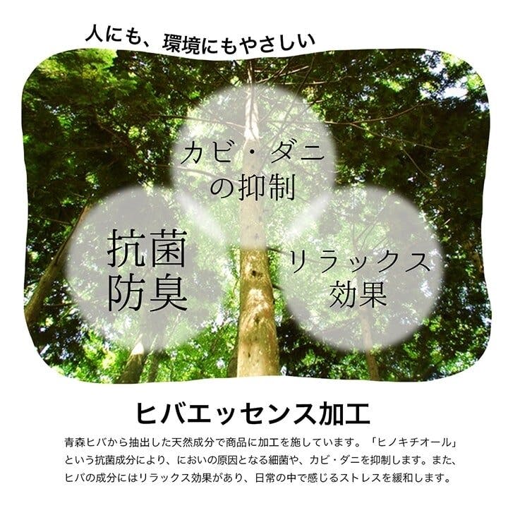 シルフ ラグ 正方形 い草 自然素材 シンプル ボーダー 裏面すべり止め