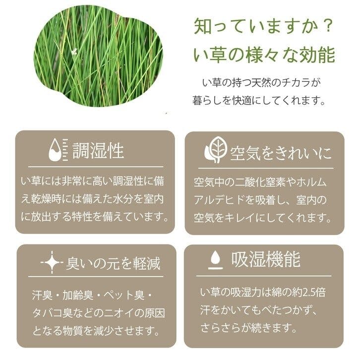 IKEHIKO ヴィオラ ラグ マット 国産 日本製 い草 高級感
