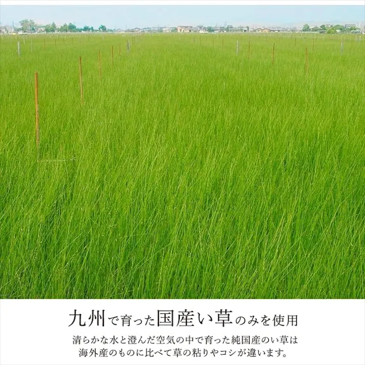 ノア ラグ 長方形 国産 日本製 ナチュラルスタイル い草 消臭 抗菌防臭 滑り止め 防炎 市松 ブラウン 約140×200cm 防音対策 市松柄 モダン 和風ナチュラル【別送品】