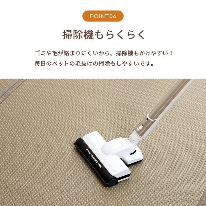 ミーサ 洗える ござ 日本製 国産 カーペット リバーシブル 丈夫 除菌